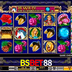BSBET88 Rio de Janeiro - Bonus Terms